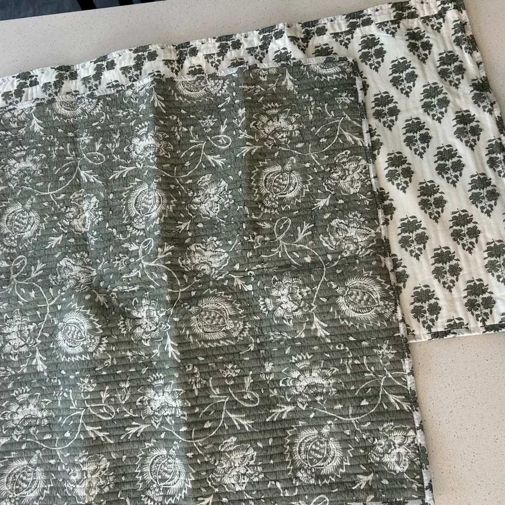 Set of 2 Pottery Barn Sloane Voile Reversible Eucalyptus Pillow Shams